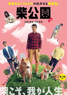 国a精品视频大全