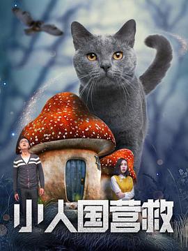 h的视频网站
