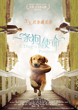 偷偷草
