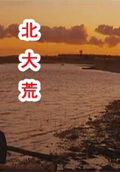 中文有码电影