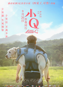 色干综合